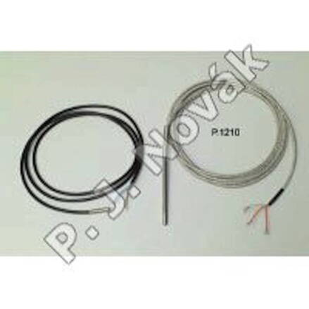 PROBE PT100 L=3000mm 600°C